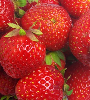 strawberry closeup as a background