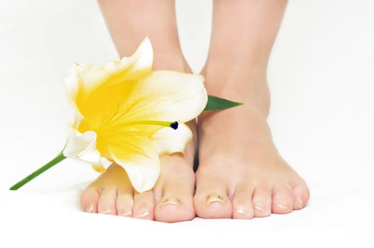 female legs with yellow lily flower