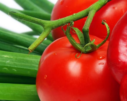 wet tomatoes and onion closeup