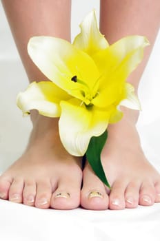 female legd with yellow lily flower