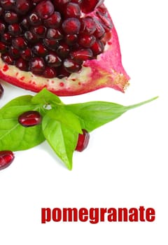 pomegranate on the white background