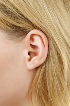 blonde female ear closeup