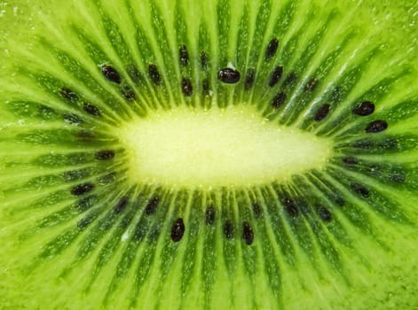 closeup of kiwi as a background