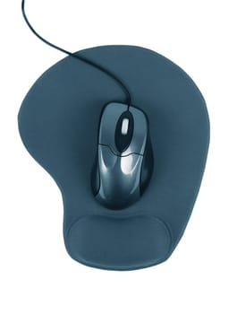 computer mouse on the rug.blue tone