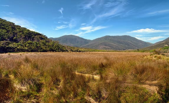 australian outback field with mounatains