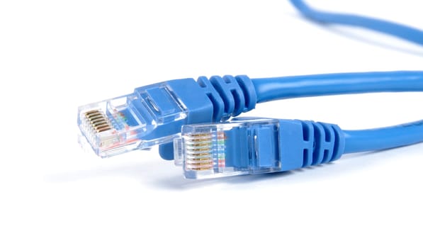 closeup of the ethernet cables