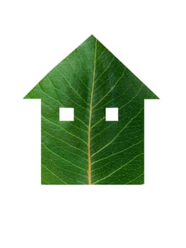 leaf in house shape. green life concept
