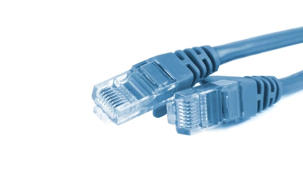 closeup of the ethernet cables