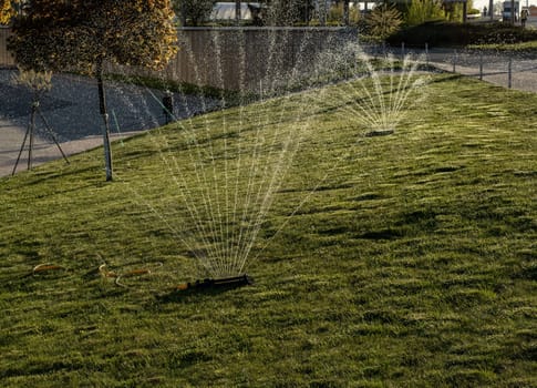 Portable, water efficient an oscillating sprinkler with metal arm sprays out a fan of water to the grass area in public streets. Watering lawn in city by an adjustable oscillating sprinkler in summer