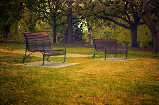 benches in the park. shallow DOF