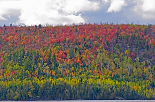 Fall Comes to the Lakes of the North Woods on Gabamichigami Lake in the Boundary Waters in Minnesota