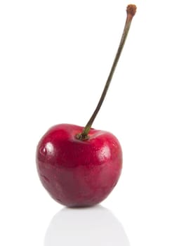 sweet cherry closeup over white