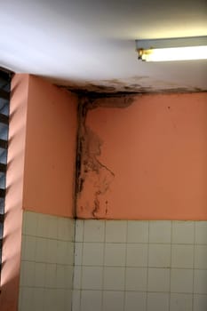 salvador, bahia - brazil - february 18, 2016: infiltration and mold wall seen in residence in the city of Salvador..