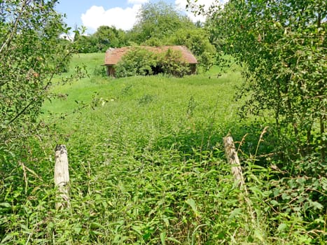 old hidden barn in the green