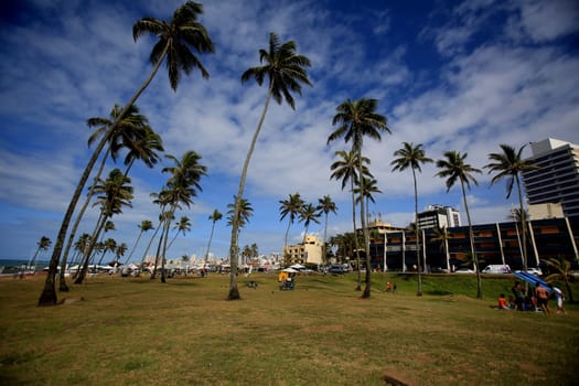 salvador, bahia / brazil - september 18, 2016: coconut trees in the Jardim de Alah region in the city of Salvador.......