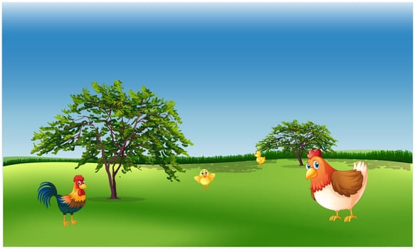 animals are playing in the gardens