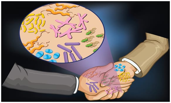 handshake spread germs from one person to another