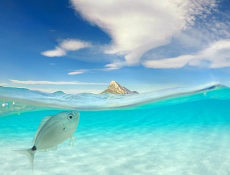 turquoise ocean with underwater view, Tropical sea with island and fish, holday and vacation concept