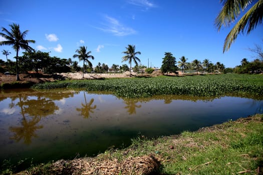 salvador, bahia / brazil - november 21, 2017: View of Rio Sapato in the region of Vilas do Atlantico in the city of Lauro de Freitas. The lake receives domestic sewage from the region.