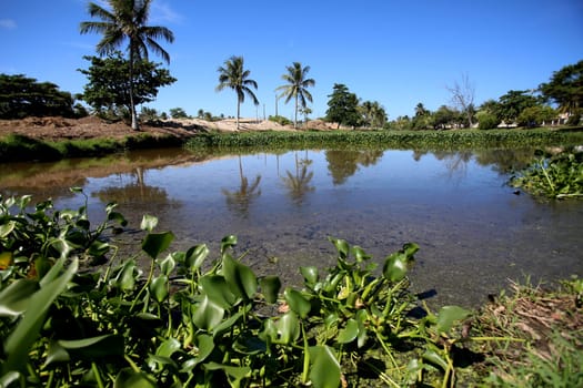 salvador, bahia / brazil - november 21, 2017: View of Rio Sapato in the region of Vilas do Atlantico in the city of Lauro de Freitas. The lake receives domestic sewage from the region.