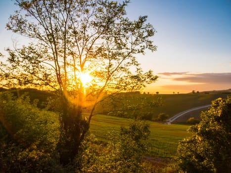 Wonderful nature of Tuscany in Italy