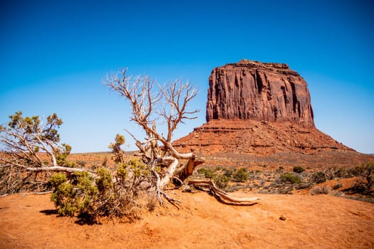 Monument Valley in Utah Oljato - travel photography