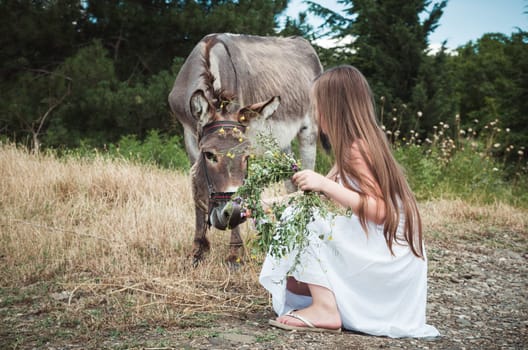 little girl feeding the donkey