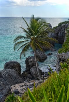 Beautiful view in Cancun,Mexico