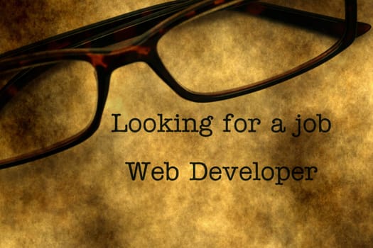 Web developer