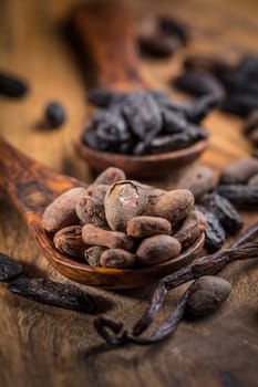 Fragrant tonka and cocoa beans with vanilla beans for baking and cooking on dark background
