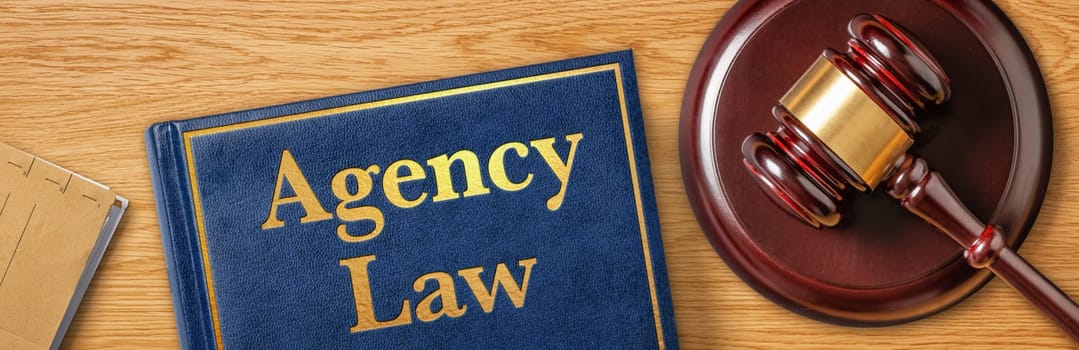 A gavel with a law book - Agency Law