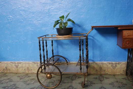 Still Life - Table with Plant