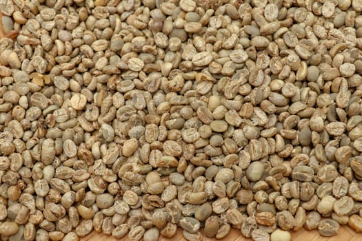 The process of making coffee Arabica beans dry by sunlight. Natural process of coffee beans drying on a coffee factory in Bali, Indonesia. Coffee beans drying on sun at the coffee farm.