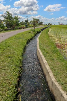 Irrigation canal called subak, a traditional way of bringing water to the fields and rice terraces in the Jatiluwih area. Original method of irrigation of fields, registered on the UNESCO list.