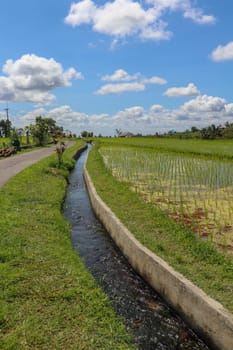 Irrigation canal called subak, a traditional way of bringing water to the fields and rice terraces in the Jatiluwih area. Original method of irrigation of fields, registered on the UNESCO list.