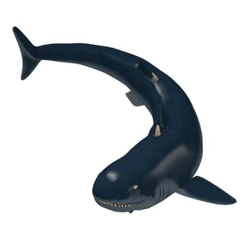 Cladoselache is one of the first primitive predatory sharks that lived in the seas of North America in the Devonian Period.