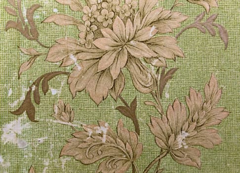 Abstract floral ornament details closeup