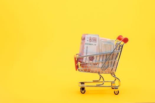 In a grocery cart lies a pack of five thousandth Russian bills