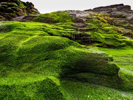 Beautiful waterfall over mossy stones in the Cove of Tintagel in Cornwall