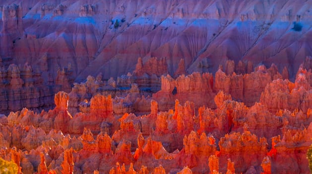 Wonderful Scenery at Bryce Canyon National Park in Utah - USA 2017
