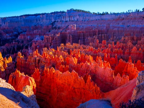 Wonderful Scenery at Bryce Canyon National Park in Utah - USA 2017