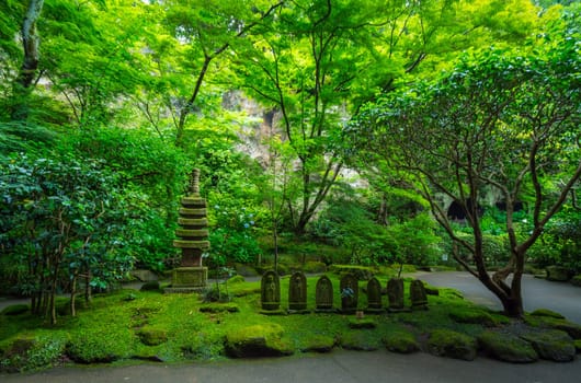 Bamboo Forest in Japan - a wonderful place for recreation