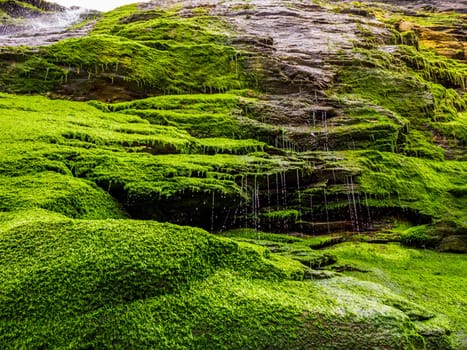Mossy rocks and waterfall at the Cove of Tintagel in Cornwall