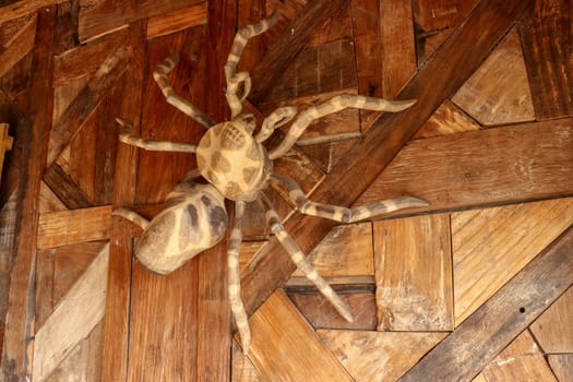 Large tarantula on the wall of rough planed planks. Statue Huge spider made of wood. Brown toy spider on the wooden floor. Selective focus.
