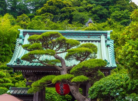 Famous Hase Dera Temple in Kamakura Japan