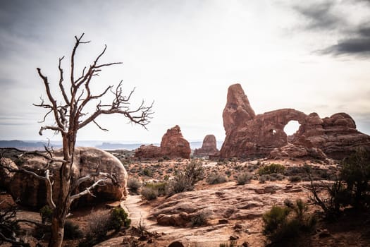 Arches National Park in Utah - famous landmark - travel photography