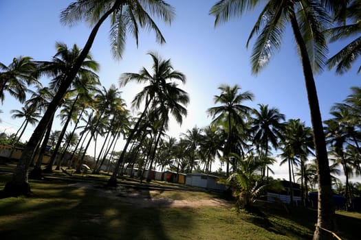 salvador, bahia / brazil - september 22, 2015: Internal view of the Camping site in the Itapua neighborhood in the city of Salvador...