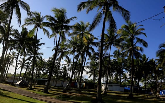 salvador, bahia / brazil - september 22, 2015: Internal view of the Camping site in the Itapua neighborhood in the city of Salvador...
