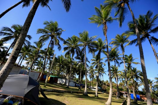 salvador, bahia / brazil - september 22, 2015: Internal view of the Camping site in the Itapua neighborhood in the city of Salvador...