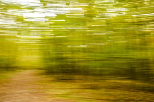 Motion blurred foliage and trees in autumn